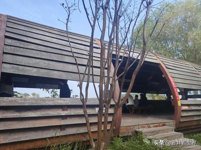 慧河湿地里的济宁新发现 || 胡成冮