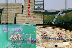 5份不同的石家庄动物园游玩攻略，网友:我关心的问题都说到了图片