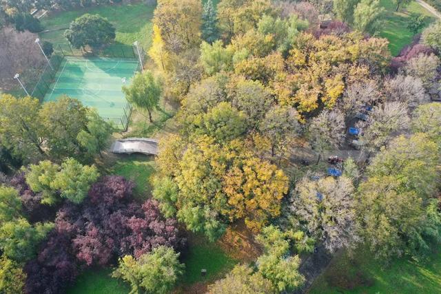 无需滤镜的温县，是这样的→