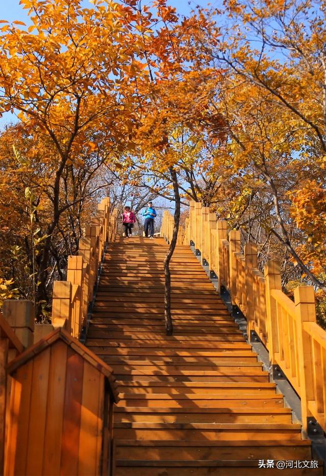 秋日必冲的保定“天然氧吧”出炉，每个都是国家级秘境