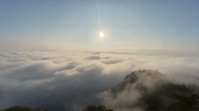 藏在大武夷的“云端大片”！绝美观云点+攻略，收藏出发！