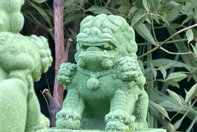 80载守望终见繁花满街,卢沟桥小狮子惊艳亮相长安街沿线主题花坛!