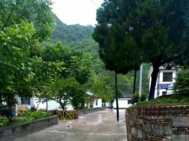 陇上忠魂:成县二郎乡岳家坝 大山深处的忠魂风骨