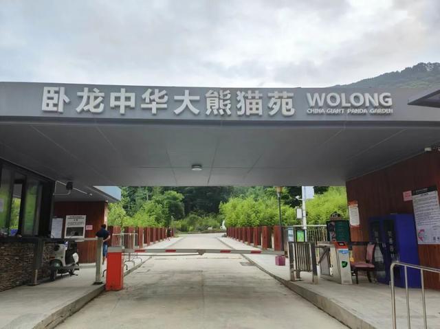 国庆自驾川西｜探秘卧龙熊猫“老家”，超全交通攻略请收好！