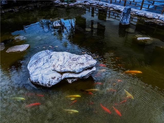 太行山水添新章：澳涞山庄十景评选榜单出炉