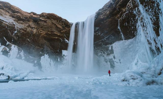 蚊子首次入侵冰岛！最后的堡垒已经陷落？究竟是什么品种？