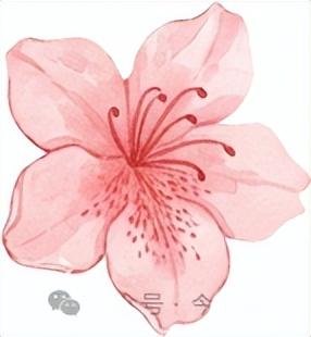 明天开幕！绵竹这个镇又要火爆出圈！好耍得很……