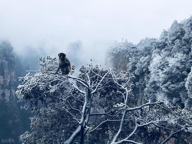 强烈建议！5 月一定要去一次张家界！不愧是中国必看奇峰之一！