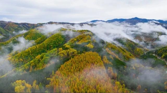 塞上江南 颐养宁夏丨固原篇：重温红色足迹，畅游绿韵山水