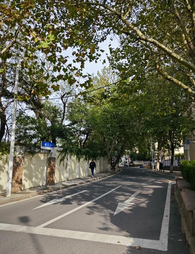 “青岛本地博主”上线！跟着任嘉伦游市南！