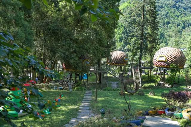 金佛山邀重庆工业职业技术大学（南川校区）全校师生解锁山水美景~
