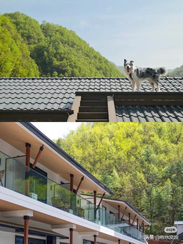 双节同庆·畅游柞水-地质奇观·古镇风情之旅