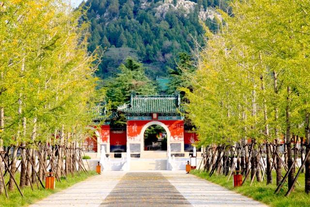 济宁一知名景区宣布：恢复收费！