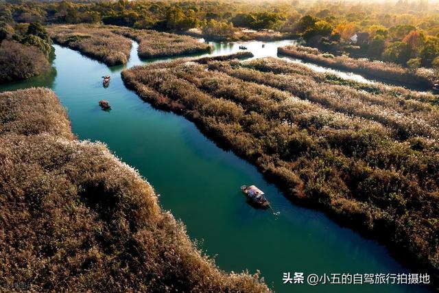 苏杭 4 天赏秋实测攻略！红枫 / 桂香 / 芦花全吃透，每天都在古画里逛