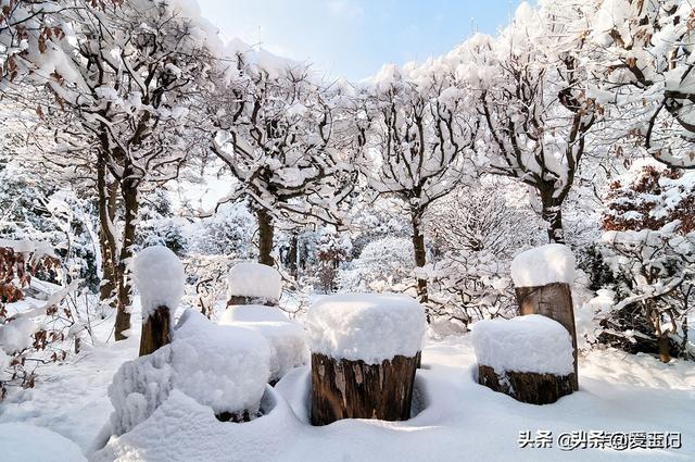 “早小雪，冻死老牛；晚小雪，秋衣过冬”，今年小雪是早还是晚