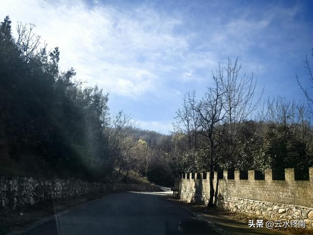 开车到蓝田这个岭上看柿子、观山景、晒暖暖，就是初冬最幸福的事