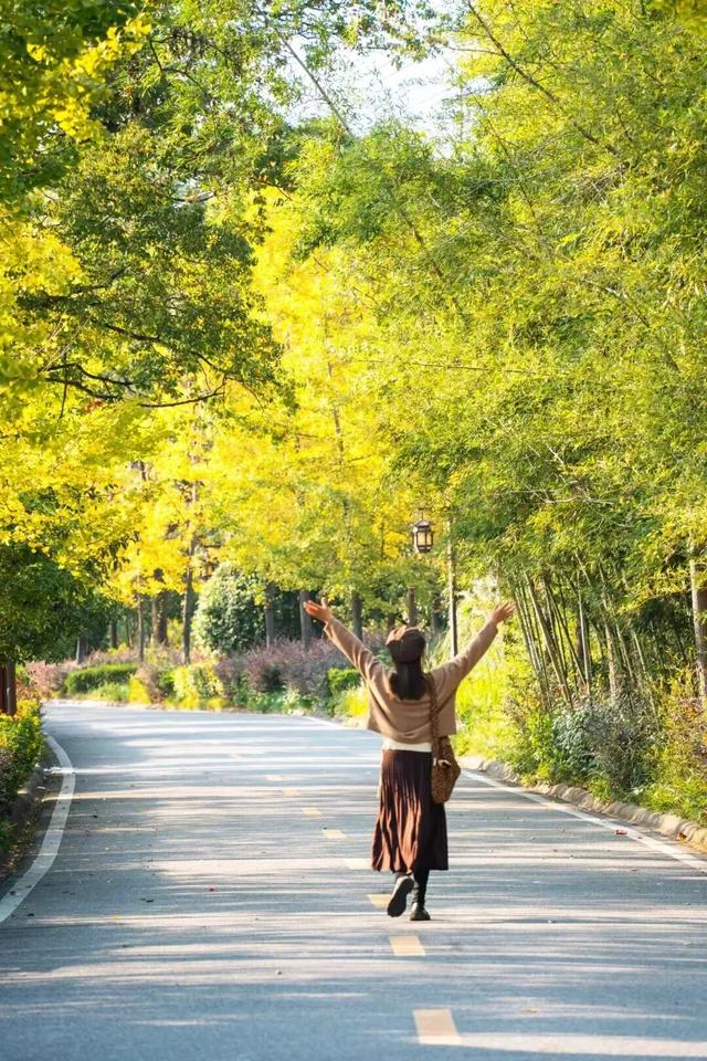 黄陂这些点位出片率绝了!