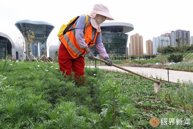 这处新增小游园正式亮相 位于乌鲁木齐文化中心北侧，占地60亩