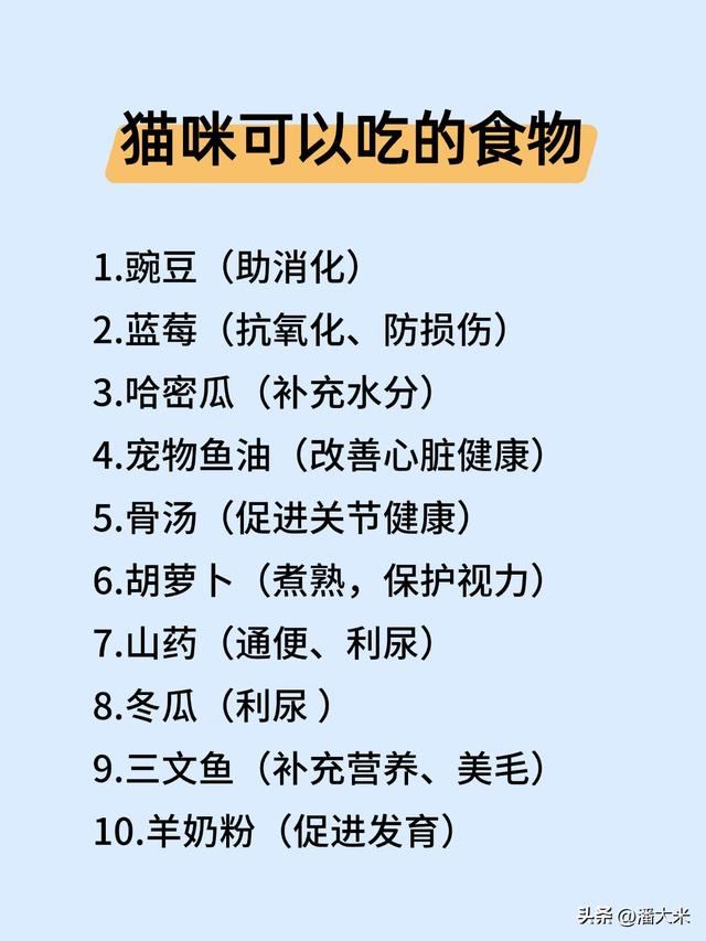 养猫必看！这些食物让猫活不过24小时，还有能吃的快收藏