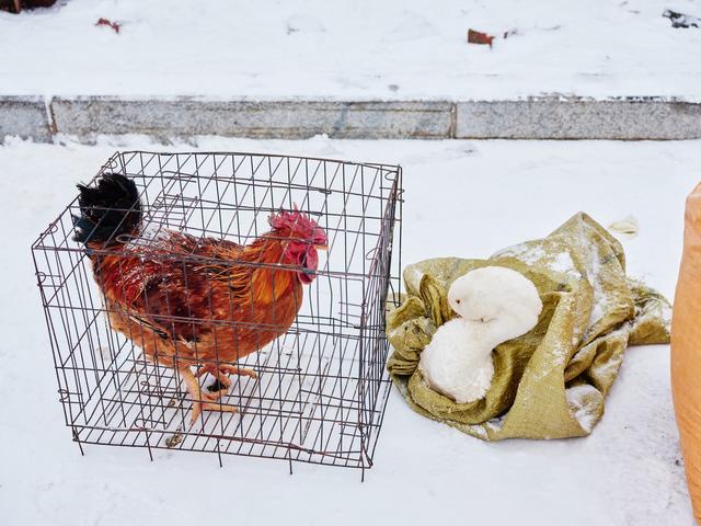 长白山西坡大集，感受东北集市的浓郁烟火气，解锁冬日的别样快乐