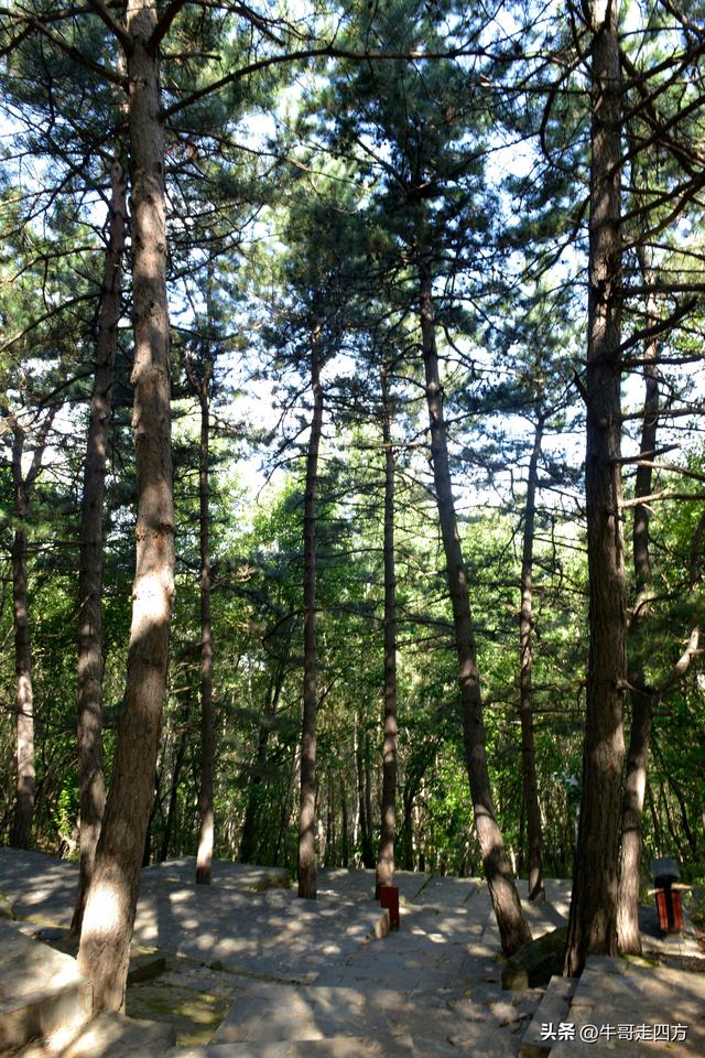 河北百草畔（上）：风动孤石悬险韵，蚁巡深岭蕴生机