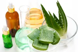 芦荟胶可以天天用吗？芦荟胶的正确使用方法，原来你一直用错了！图片
