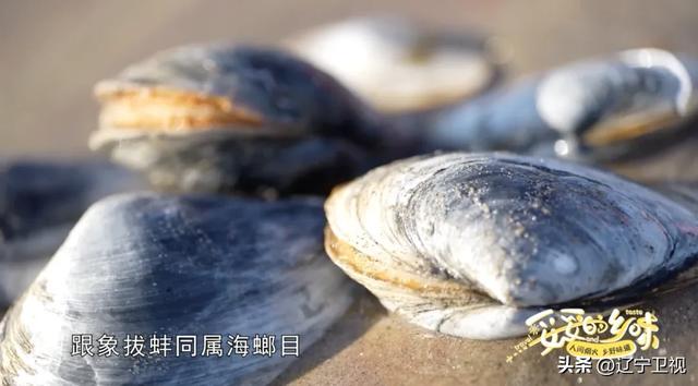 这里人均“海鲜自由”，就在辽宁这个北纬39度的海岛