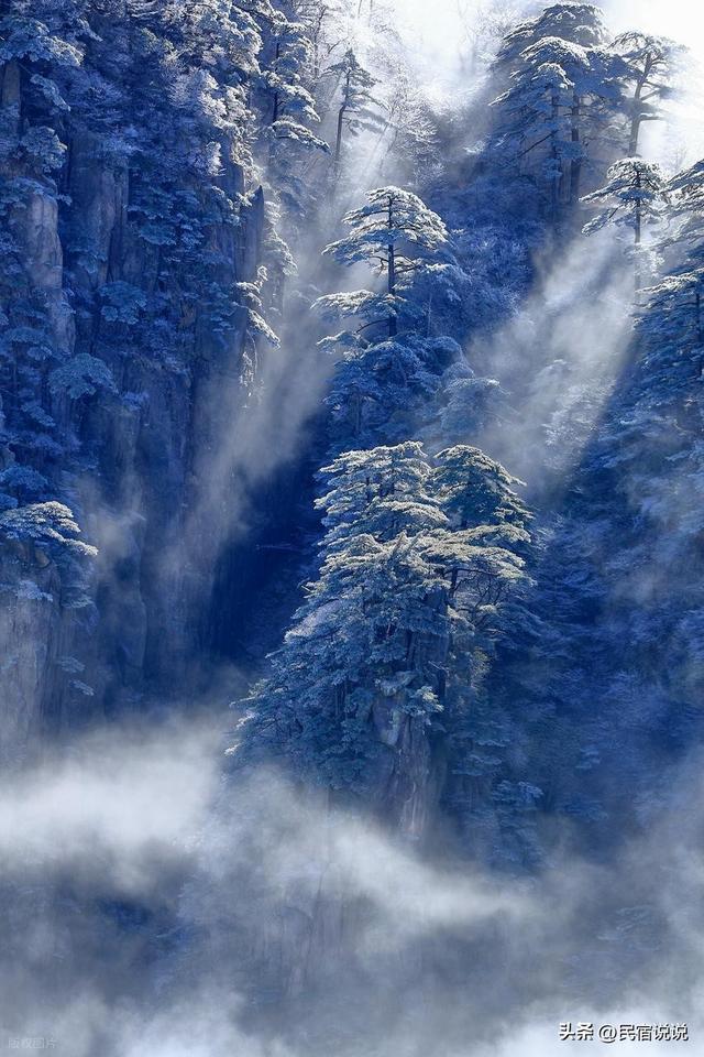 黄山“五绝”之一的冬雪,只有50天观赏期。