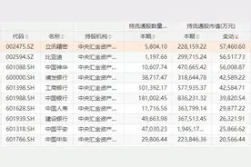 中央汇金最全持股出炉，国家队重仓41只，耐心资本持有的核心资产图片