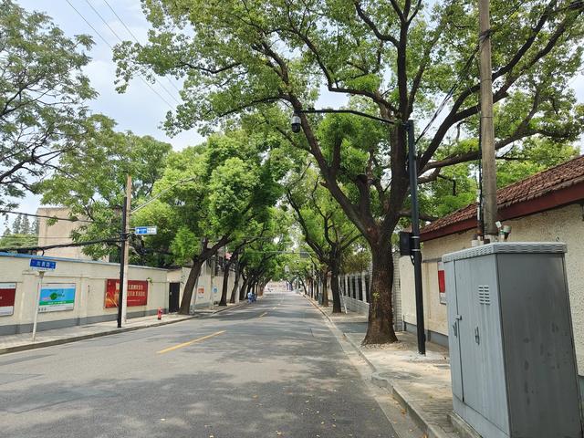 复兴岛上共青路,工业遗存赋新能