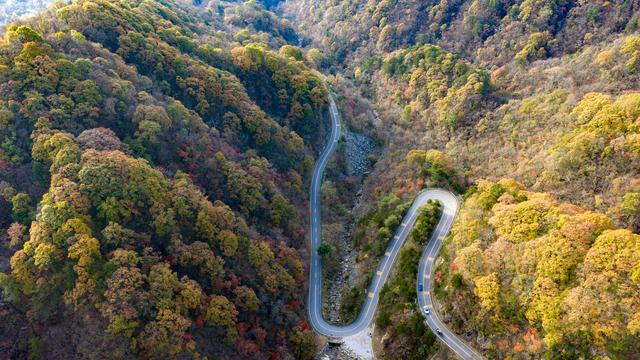 山道弯弯秋色浓