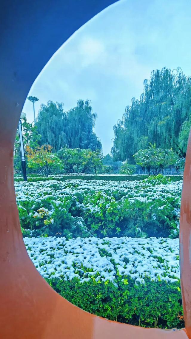 临洮秋天的雪，来啦！