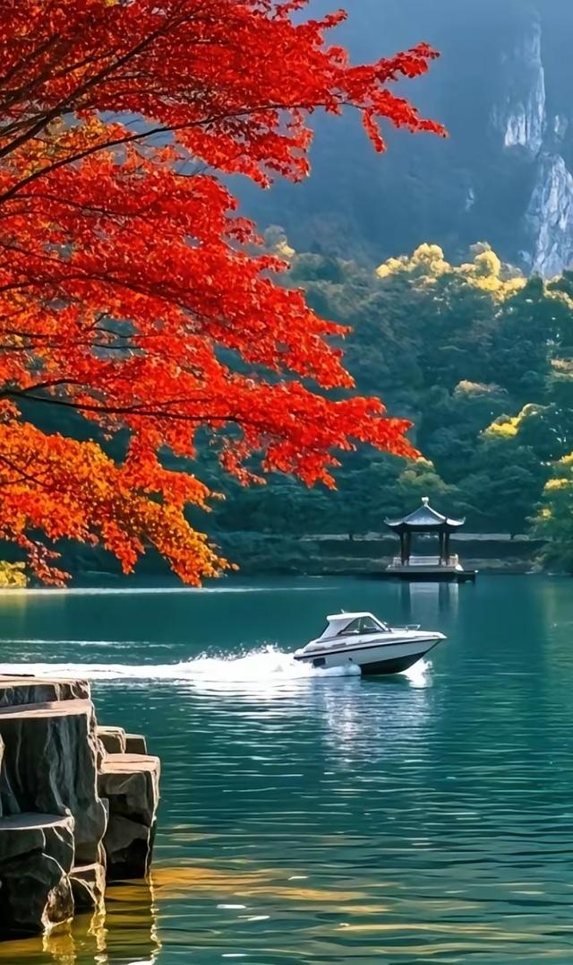 物是景的点缀，景是物的舞台