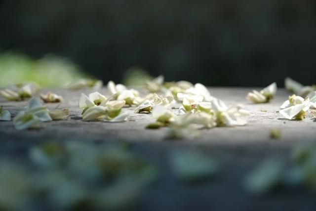 山东有座2000年前的名城，寻访李清照范仲淹们在青州古城的足迹