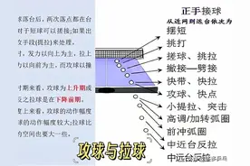 乒乓球比赛接发球技术详解（—）侧旋球是进攻法宝图片