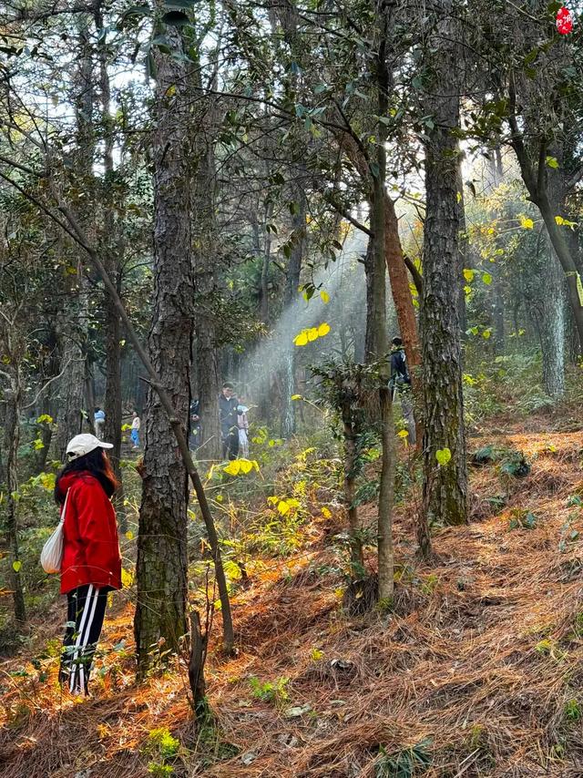 从1公里到33公里，苏州15座山全强度登山攻略！