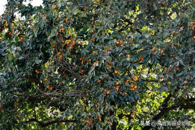 陕西渭南：天留山等南塬风光迤逦 清晰可见 宏伟大气