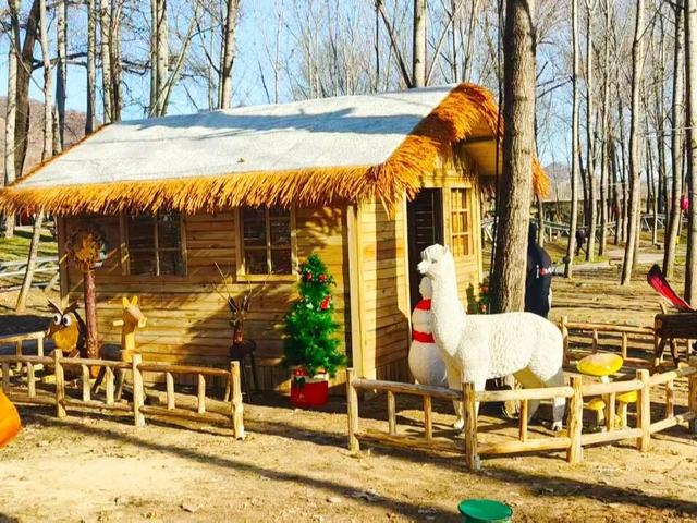 冬游大明川 跨年狂欢