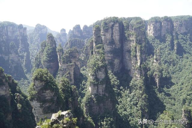 袁家界：地球的‘盗梦空间’！与2亿年的石英砂岩对视，这悬浮山