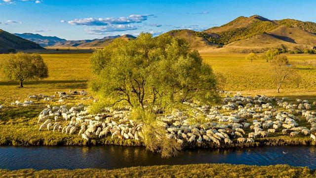 倒计时5天！扎赉特好物“京蒙”嘉年华等你“赉”赴约～