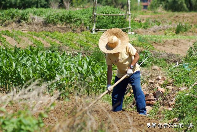 “男怕立秋，女怕立冬”，今日立秋，提醒大家：3事不做，2事要做