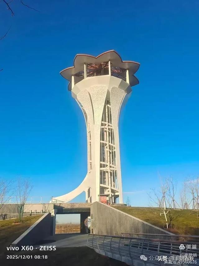 初冬北京朝阳坝河金盏淀:清寒里的静美画卷|申艳娟