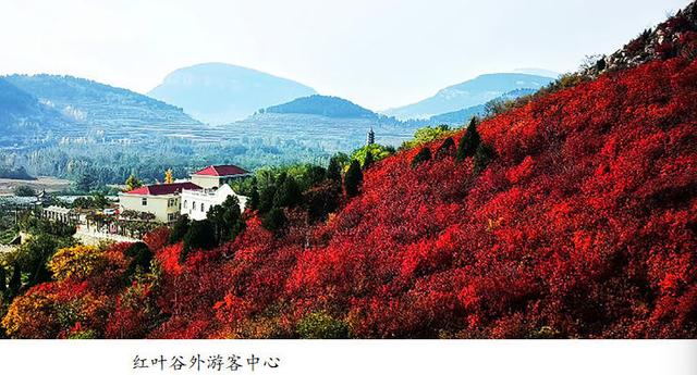 吴秀成：金秋探寻灵泉寺