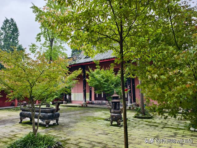 成都徒步（69）·彭州篇⑯法藏寺环线（桥断未走通）