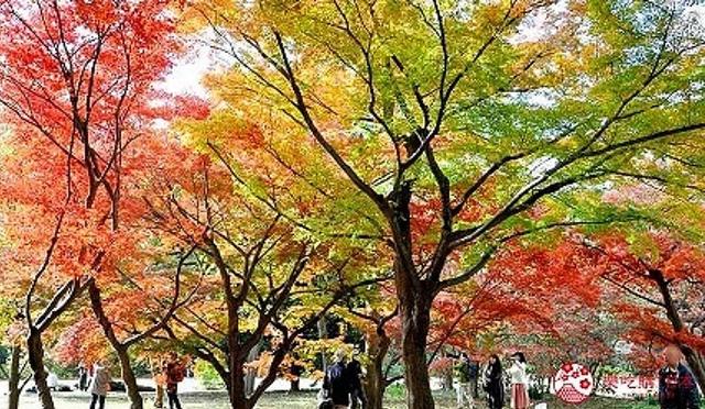 2025新宿车站转车攻略:路线、出口、转乘方式、周边景点总整理