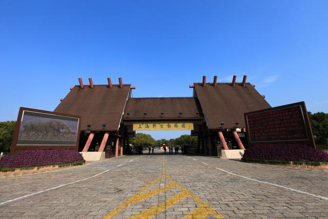 79元坐车直达上海野生动物园、迪士尼，还能享门票半价