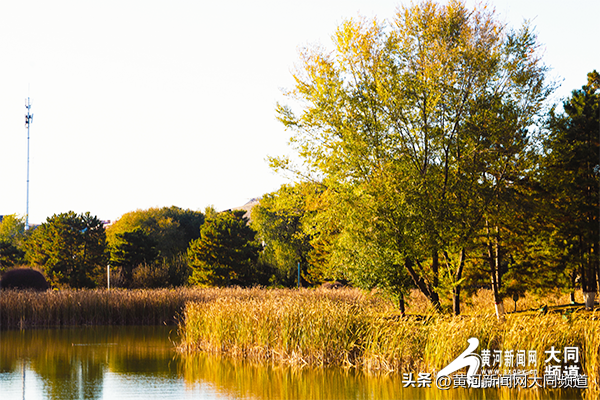 文瀛湖畔秋色浓 大同游客悠享漫步时光