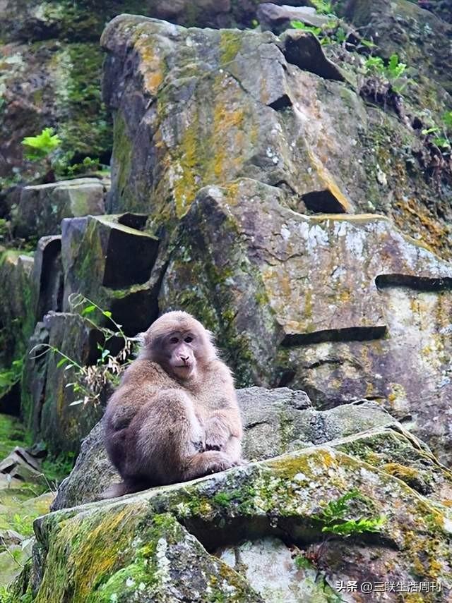 与三联同行，行走黄山不止于“雾凇限定”