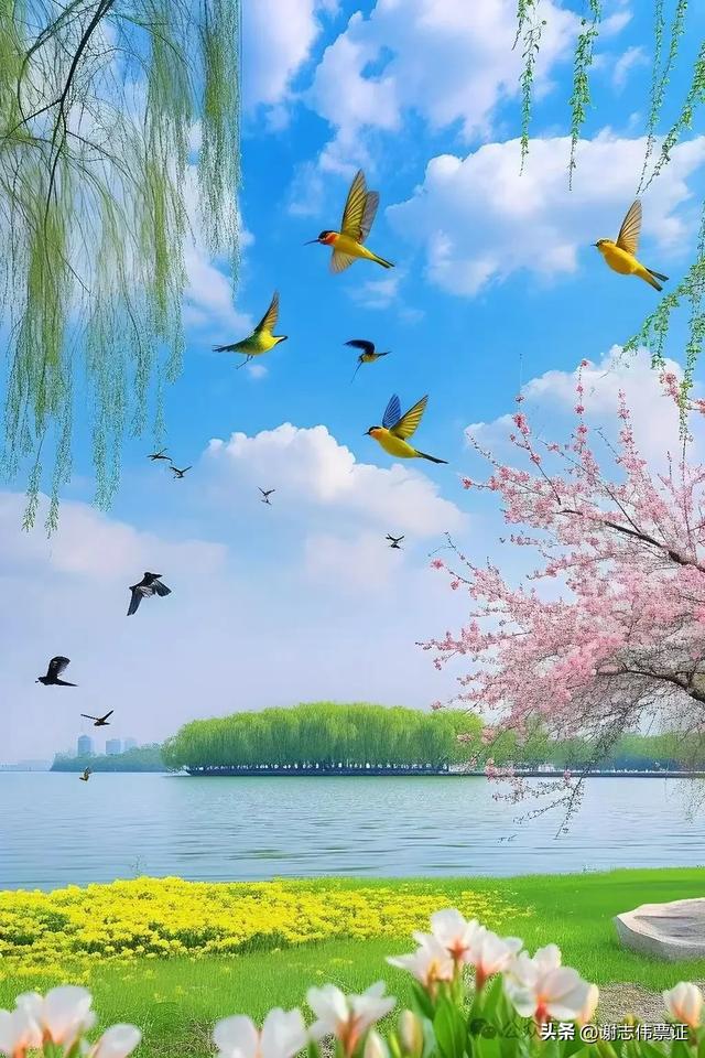 柳绿花红 风光无限