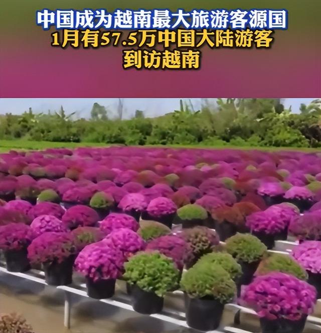 不欢迎中国人的5个国家，不待见写在脸上，中国游客仍蜂拥而至